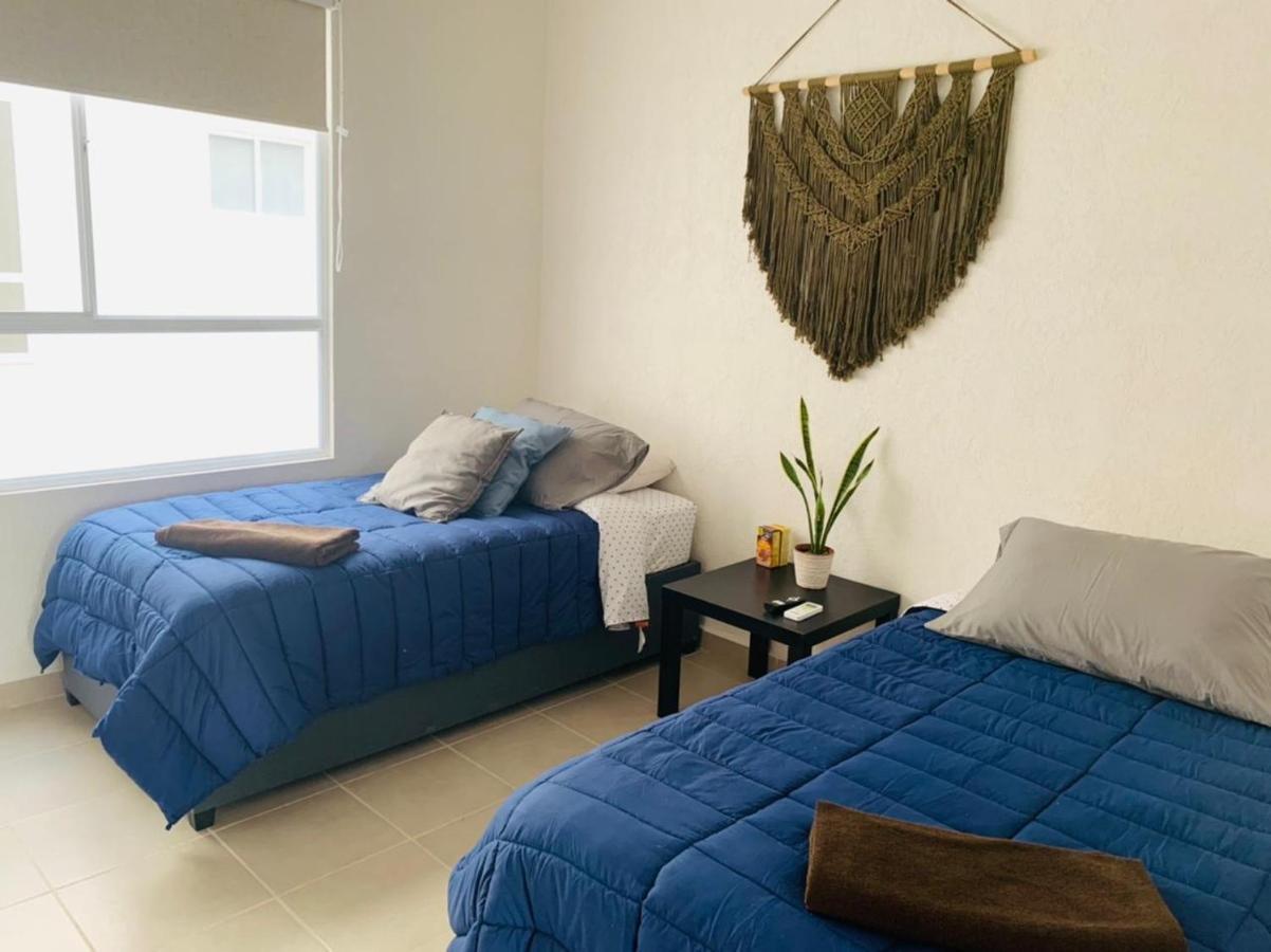 Franks House Apartment "Shared House" Cancún Exteriör bild